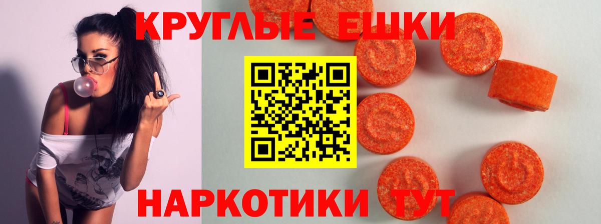 дарнет шоп  Ecstasy круглые  Саранск  Вход с VPN  Экстази 280мг 
