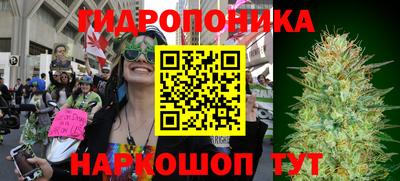 индика Славянск-на-Кубани