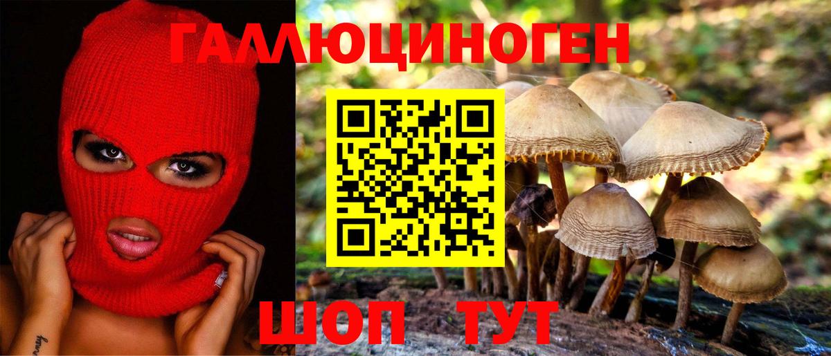 Саранск  Галлюциногенные грибы мицелий  даркнет сайт  Вход с VPN 