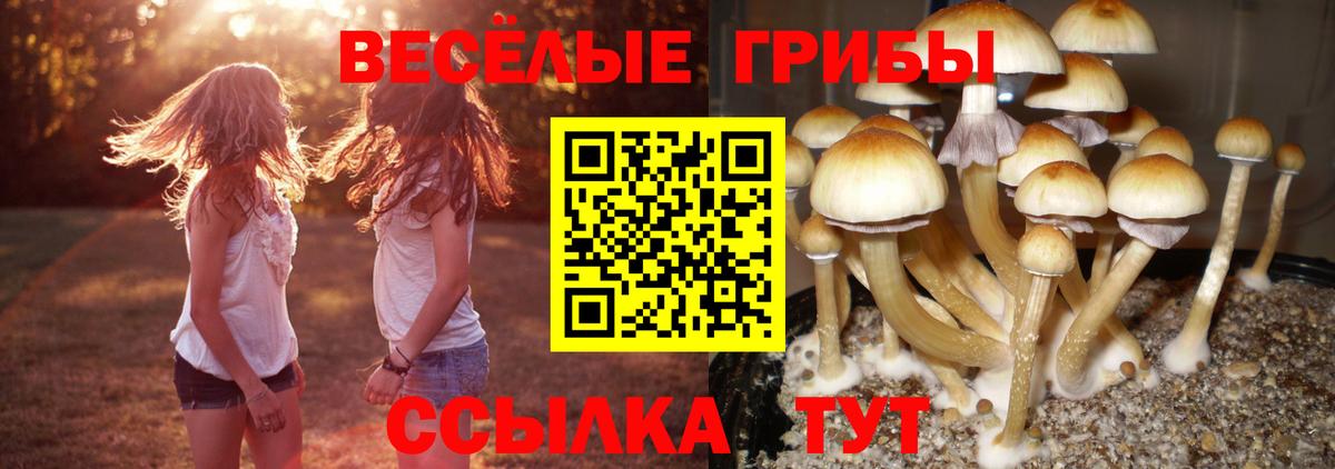 Псилоцибиновые грибы MAGIC MUSHROOMS Саранск